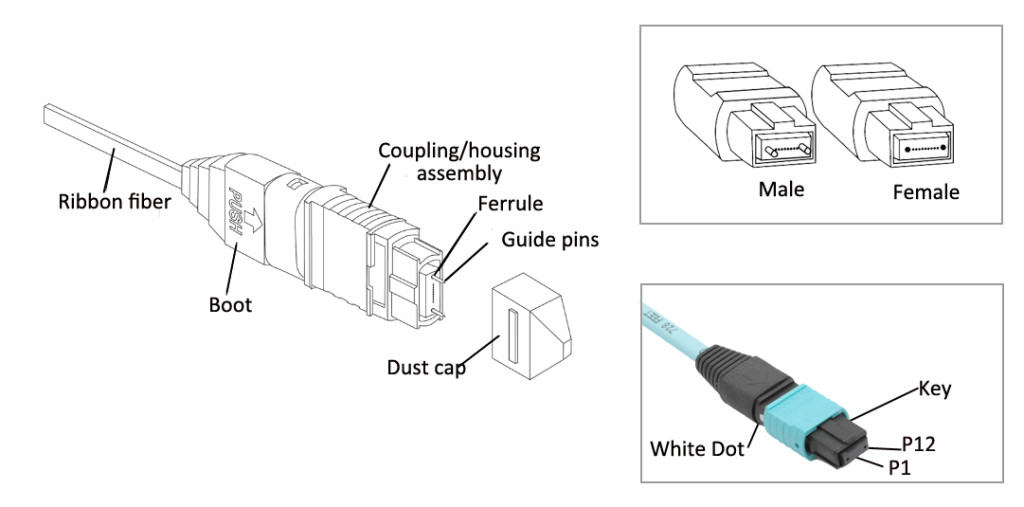 Fast Transmission Speed MPO to MPO OM3 Multimode Fiber Optic Patch Cord Cable for QSFP Transceivers