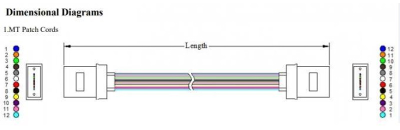 40G Transfer Rate 8 12 16 24 32 Fibers MT UPC Bare Male Female Ribbon Fiber Patch Cord