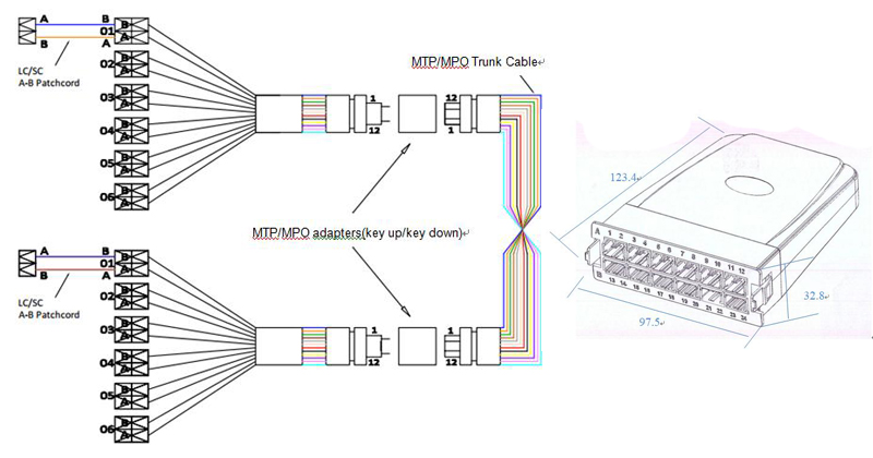 Rack Mounted 24 Fibers Fiber Optic OM1 OM3 OM4 OM5 LC MPO Cassette with 2 MPO Adapter